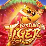 chillibets fortune tiger bet